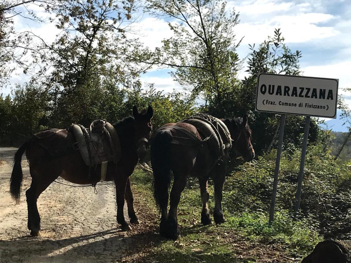 Agriturismo B&B Luna Di Quarazzana In Fivizzano Tuscany Exterior foto